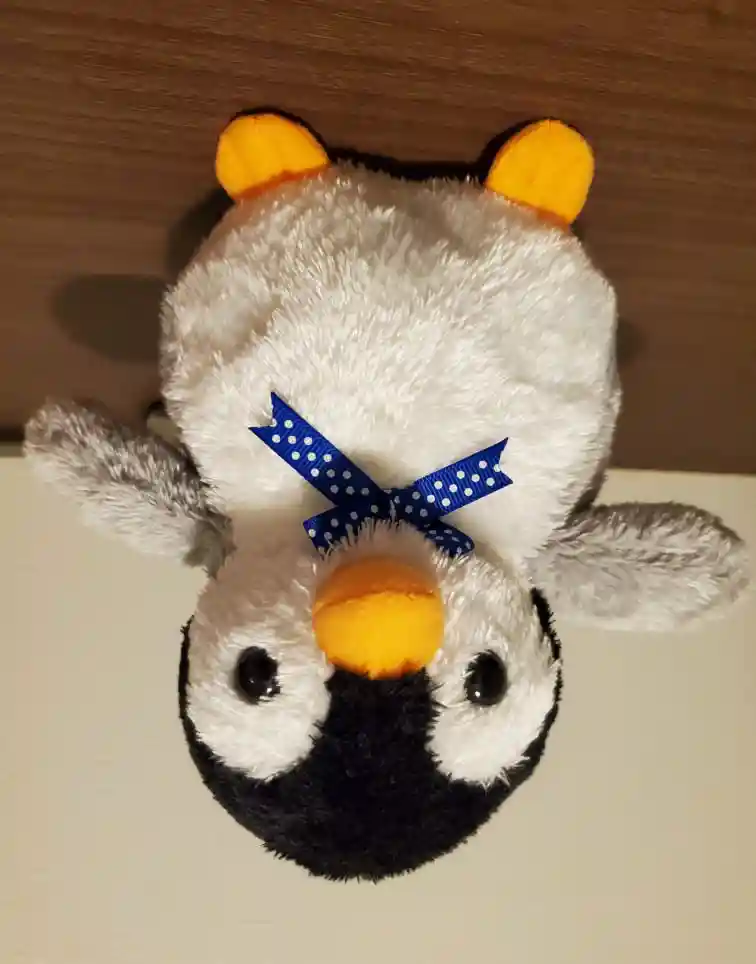 ペンギン avatar